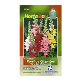 SEMILLA PERRITOSGIGANTES No. H340