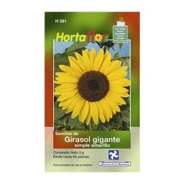 SEMILLA GIRASOL GIGANTE SIMPLE No. H391