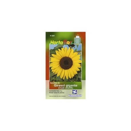 SEMILLA GIRASOL GIGANTE SIMPLE No. H391