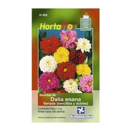 SEMILLA DALIA ENANA No. H455