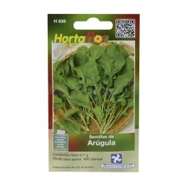 SEMILLA ARUGULA No. H836