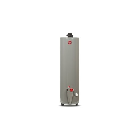 CALENTADOR DE AGUA 30 GALONES GAS LP RHEEM