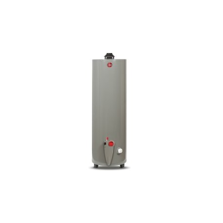 CALENTADOR AGUA 40 GALONES GAS NATURAL RHEEM